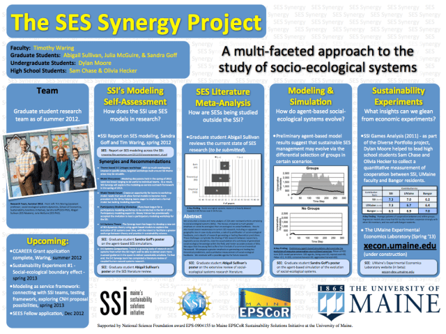 SES Synergy Summary Poster 2012