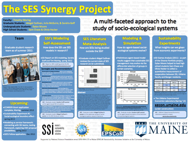 The SES Synergy Project Poster The SES Synergy Project - a summary of work in poster form